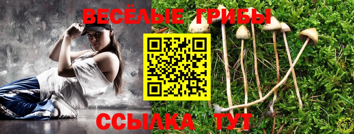 Галлюциногенные грибы Magic Shrooms Мегион